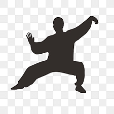 Online Tai Chi Classes